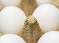 Closeup of white eggs in cardboard package Royalty Free Stock Photo