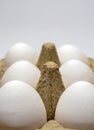 Closeup of white eggs in cardboard package Royalty Free Stock Photo