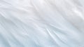 Closeup White Feathers Background for Peace, Calm, and Spirituality AI Generated