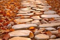 Closeup Of White Flat Rock Pathway On Beige Background Next To Autumn Leaves. Generative AI