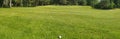 Closeup of white golf ball and club. Human feet on green grass