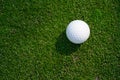 Closeup of white golf ball on a putting green Royalty Free Stock Photo