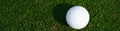 Closeup of white golf ball on a putting green Royalty Free Stock Photo