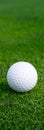 Closeup of white golf ball on a putting green Royalty Free Stock Photo