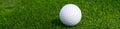 Closeup of white golf ball on a putting green Royalty Free Stock Photo