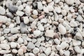 Closeup of white and gray pebble stones and sea shells on beach. Ocean, seashore natural textured background. Summer