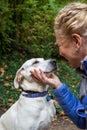 Closeup of white lab mix dog, collar and dog tags, receiving attention from a woman