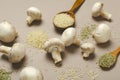 Closeup of white mushrooms, dried rosemary, heap of rice and wooden spoons on the light brown background