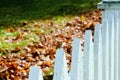 Closeup of white picket fence with autumn leaves Royalty Free Stock Photo