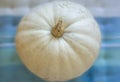 Closeup of white pumpkin, texture on a pale blue background, us