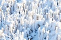 Closeup of white snow covered forest landscape on a winter day. Frosty garden ground preserved in snow. Twigs on the Royalty Free Stock Photo