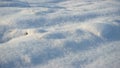 Closeup white snow scattered ground at day light. Snow-covered snowdrifts. Royalty Free Stock Photo