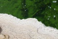 Closeup of the white stoned sand formation on the seaside during the daytime