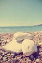 Closeup of white stones on the pebbly beach; filtered, faded, retro style Royalty Free Stock Photo