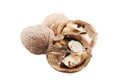 Closeup of whole and cracked walnuts isolated on a white background Royalty Free Stock Photo