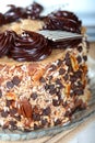 Closeup of a whole German Chocolate Cake Royalty Free Stock Photo