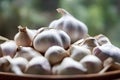 Closeup of whole unpeeled garlic in a bowl