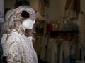 Closeup of wigs and dresses on mannequins in a shop with a blurry background Royalty Free Stock Photo