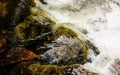 Closeup of a wild, pristine waterfall cascading over rocks in a natural landscape.