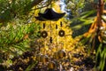 Closeup wind chimes in autumn garden. Happiness, success, power, wealth