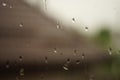 Closeup window glass in rain drops. Brown tiled roof in blurred background