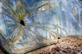 Closeup windshield of an old rustic truck. Royalty Free Stock Photo