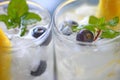 Closeup wine coolers with fresh fruit Royalty Free Stock Photo
