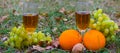 Closeup wine glass with  fruit heap on forest glade Royalty Free Stock Photo