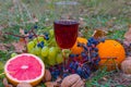 Closeup wine glass with fruit heap on forest glade Royalty Free Stock Photo