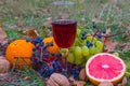 Closeup wine glass with fruit heap on forest glade Royalty Free Stock Photo