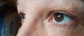 Closeup woman brown eye. Macro eye Royalty Free Stock Photo