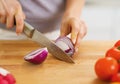 Closeup on woman cutting onion on cutting board Royalty Free Stock Photo