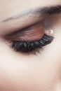 Closeup of woman eye with brown eyeshadow Royalty Free Stock Photo