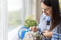 Closeup woman florist cutting leaves of begonia cultivated potted plants in domestic garden Royalty Free Stock Photo