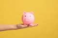 Closeup of woman hand holding pink piggy bank, investment, saving money, currency, deposit. Royalty Free Stock Photo