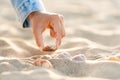 Closeup of woman hand picking up seashells on white sand beach at sunset Royalty Free Stock Photo