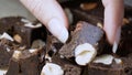 Closeup of woman hand taking slice of dark chocolate with hazelnuts