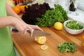 Closeup of woman hands cooking vegetables salad in kitchen. Housewife cuts lemon. Healthy meal and vegetarian concept. Royalty Free Stock Photo