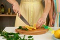 Closeup woman hands cutting lemon with knife for lemonade. mother shows her child safety techniques in kitchen Royalty Free Stock Photo