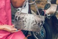 Closeup woman hands with fashion luxury snakeskin python handbag on a retro motorbike background. Outdoors, Bali island.