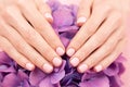 Closeup of woman hands with perfect manicure.