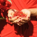 Closeup woman hands with raspberry, outdoor near raspberry bush