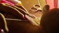 Closeup woman hands sew embroider butterfly wings at table