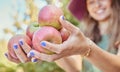 Closeup of a woman holding fresh red apples in her hands on an orchard farmland outside on sunny day in summer. Hands of Royalty Free Stock Photo