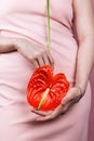 Closeup of woman in pastel pink dress holding bright red bloom peace lilly