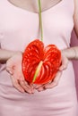 Closeup of woman in pastel pink dress holding bright red bloom peace lilly Royalty Free Stock Photo