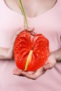 Closeup of woman in pastel pink dress holding bright red bloom peace lilly Royalty Free Stock Photo