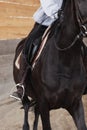 Closeup of a woman in riding gear sitting in a saddle on a brown horse Royalty Free Stock Photo