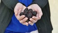 Closeup handful of blackberries