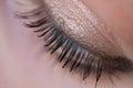 Closeup woman`s eye with soft makeup Royalty Free Stock Photo